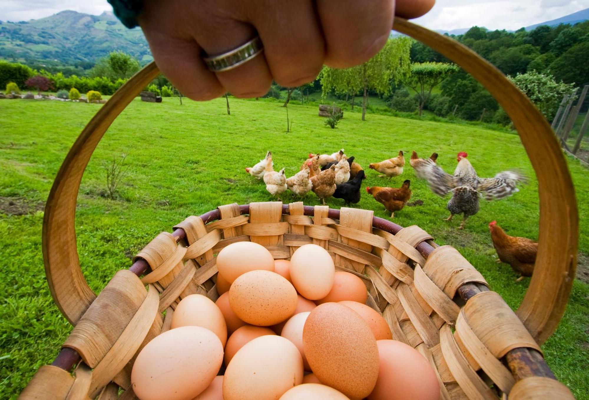 Casa Rural Zigako Etxezuria Zewnętrze zdjęcie